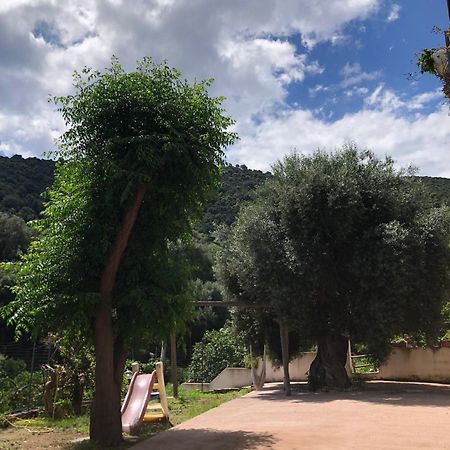 Appartamento Maremontagna Cardedu Zewnętrze zdjęcie