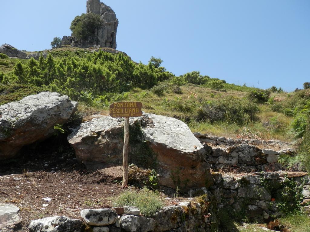 Appartamento Maremontagna Cardedu Zewnętrze zdjęcie